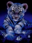 sticker_9601128_14573630