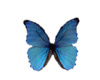 sticker_21411048_33385734