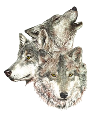 sticker_28644091_41048173