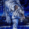 sticker_23258085_33389924