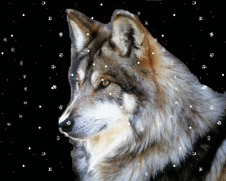 sticker_20004153_28567825