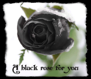 sticker_14693796_29966400