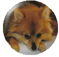 sticker_5581779_21836797