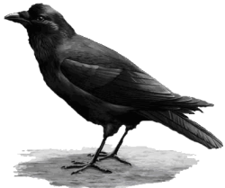 sticker_13922970_37640725