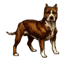 sticker_21192343_28826794