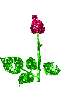 sticker_10782918_16197736