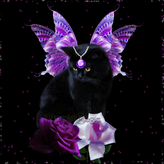 sticker_16735243_25943574