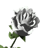 sticker_22528350_37285809