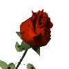 sticker_3684347_40748772