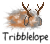 sticker_1924391_39051518