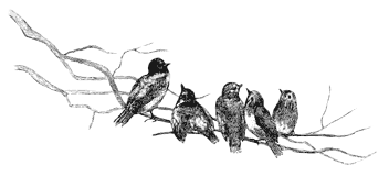 sticker_16913651_40586284