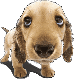 sticker_10878434_37080026
