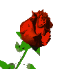 sticker_25709299_40280588