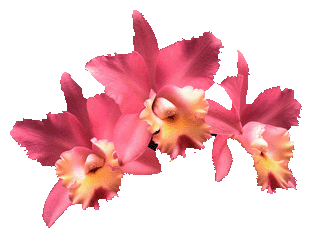 sticker_6227967_41670202