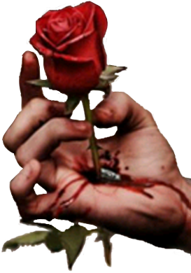 sticker_20309737_42172168