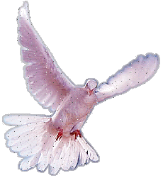 sticker_752172_6087712