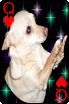 sticker_12602213_30809068