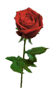 sticker_21068923_38127427