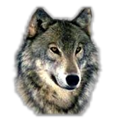 sticker_6335785_8597701