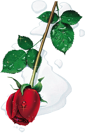sticker_19235415_33513090