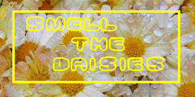 sticker_22535196_35047183