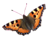 sticker_1394536_1827580