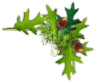 sticker_16677192_22025173