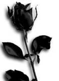 sticker_18313603_40505288