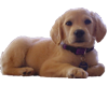 sticker_26950942_37026498
