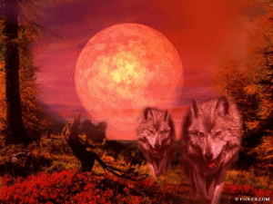 sticker_449459_523918