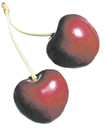 sticker_6505714_19122522