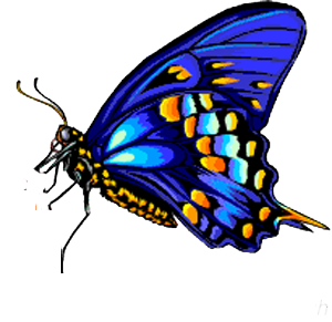 sticker_20657373_28844252