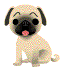 sticker_11291171_31611834