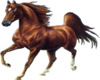 sticker_24315162_39061297