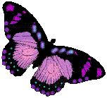 sticker_10283522_14159192