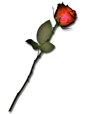sticker_11338074_17382748