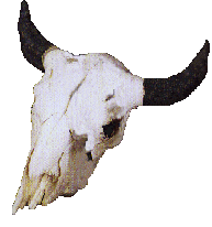 sticker_15799849_28113337