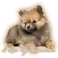 sticker_13844879_36579126