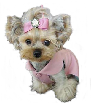sticker_18678670_31850612