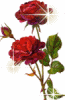 sticker_3433260_4780967