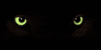 sticker_4630550_18314150