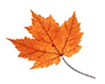 sticker_18828558_40643957