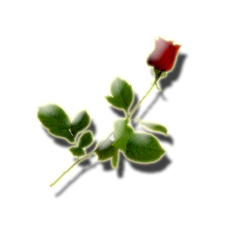 sticker_21083656_30666250