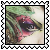 sticker_8080950_30923886