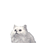 sticker_12610675_20172469