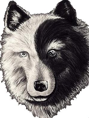 sticker_18328854_38648247