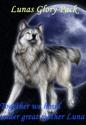 sticker_17021194_26276052