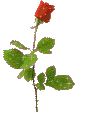 sticker_11177350_33284259