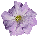 sticker_2125402_2785836
