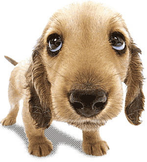sticker_2175267_29136753